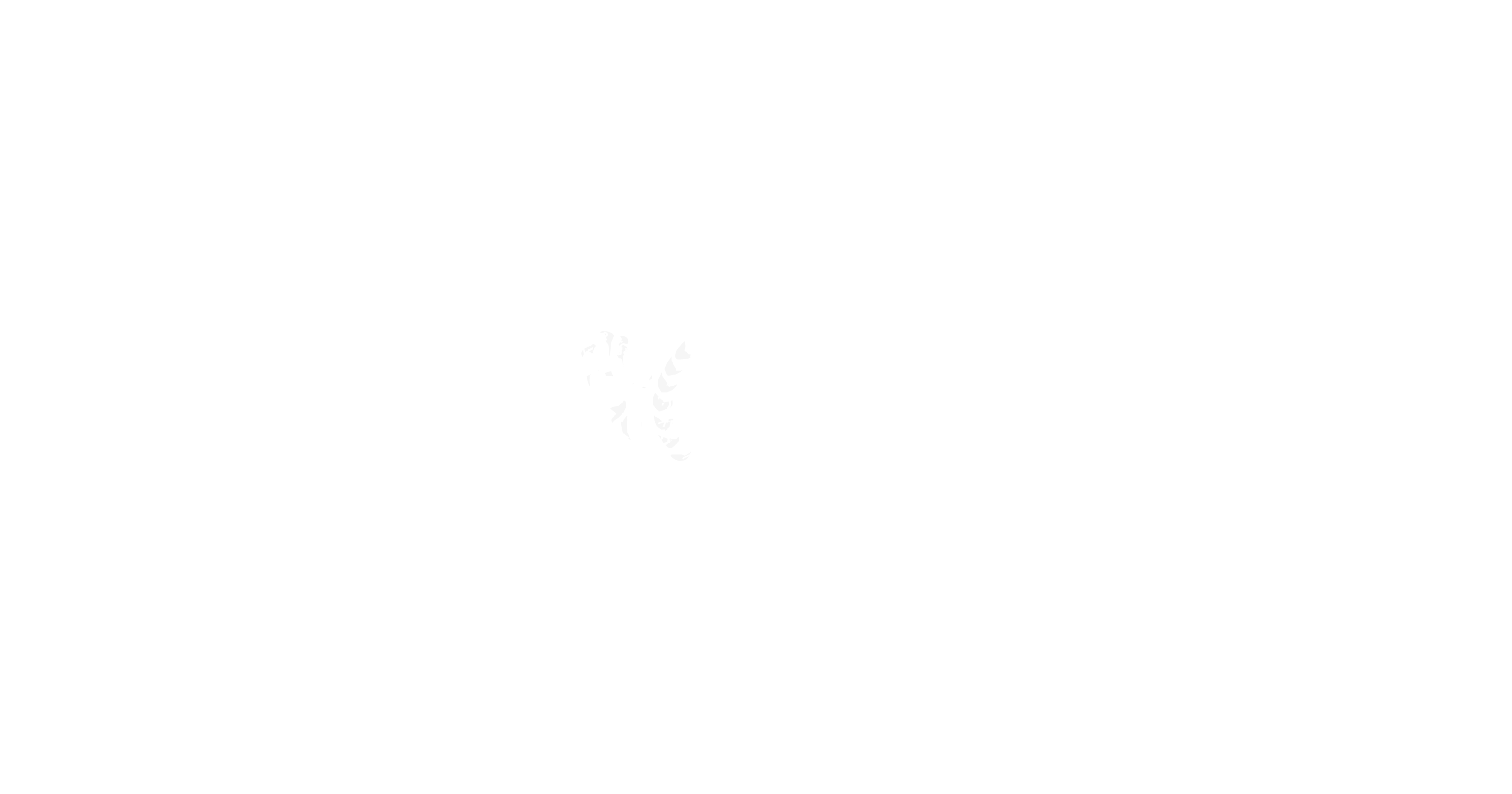 Zenith Logo